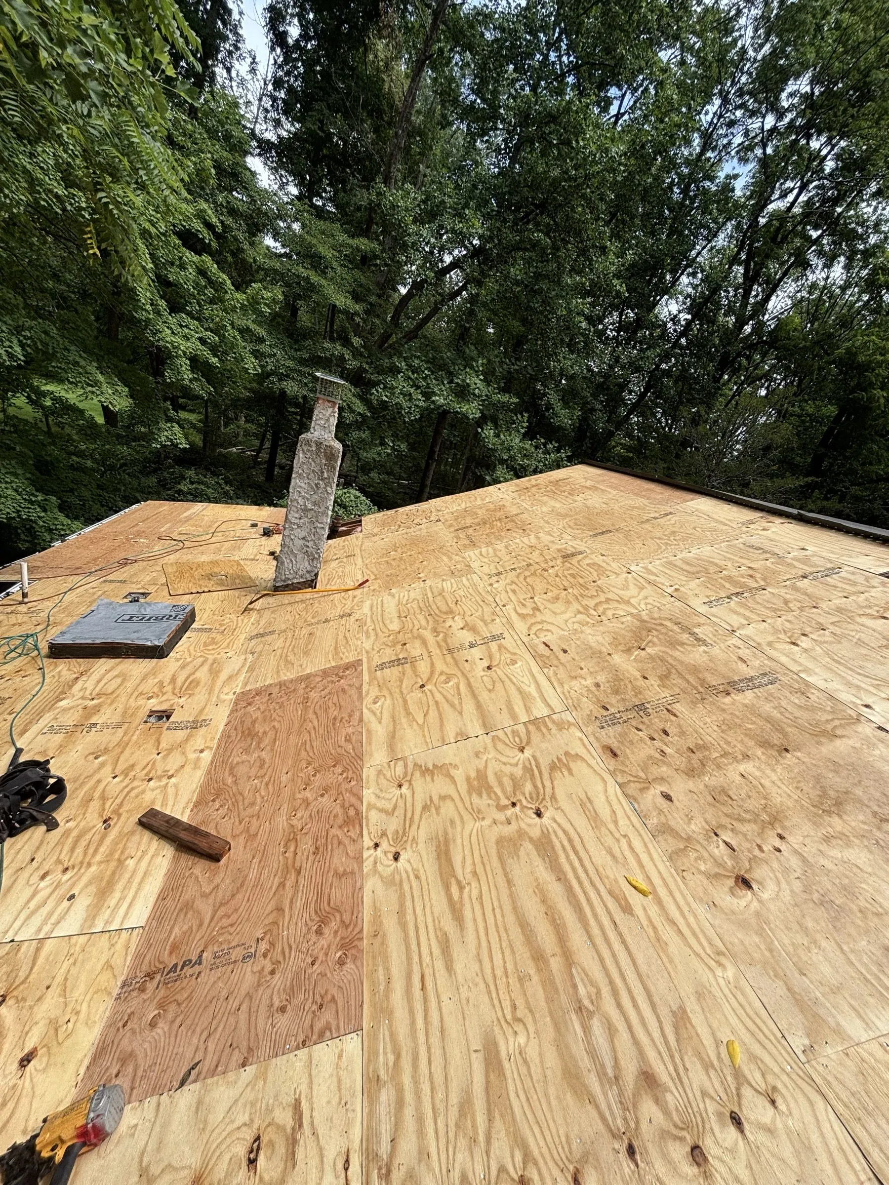 New plywood decking laid across the roof after the old roofing and boards came off.