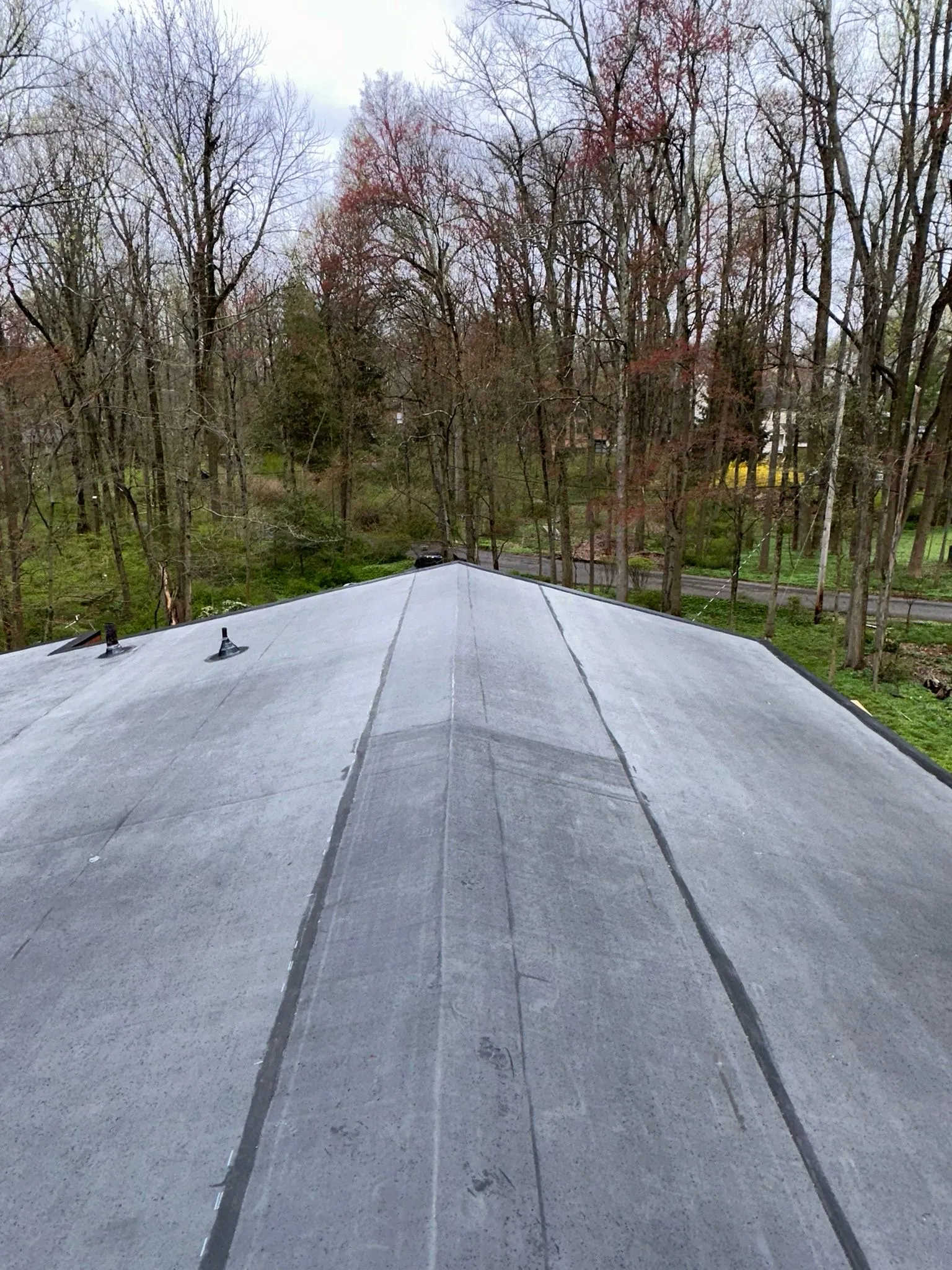 Finished black EPDM flat roof running to a low ridge with new vents, bare spring trees beyond.