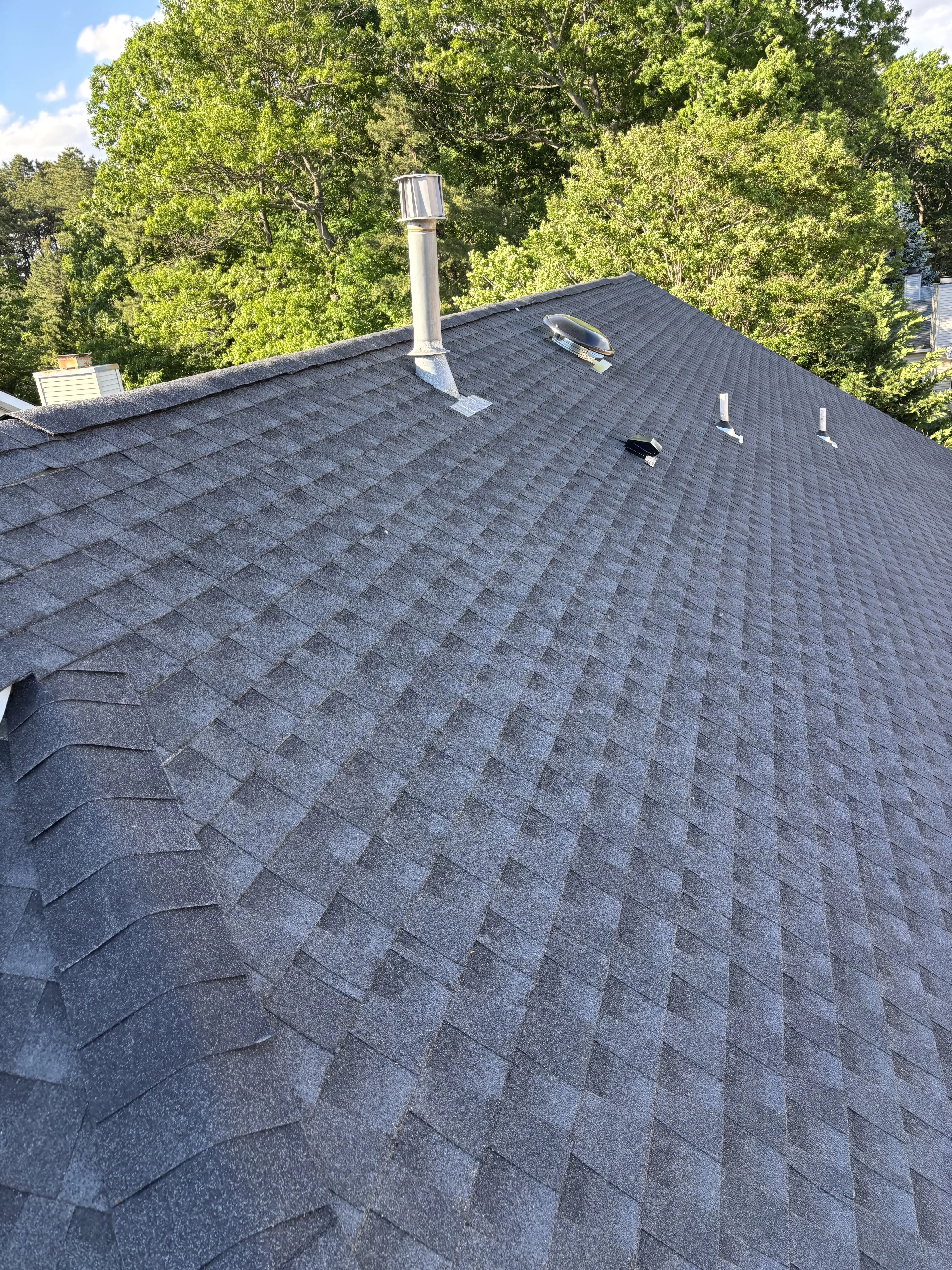 Completed shingle roof with new vent pipe and box vents set into the field, surrounded by trees.