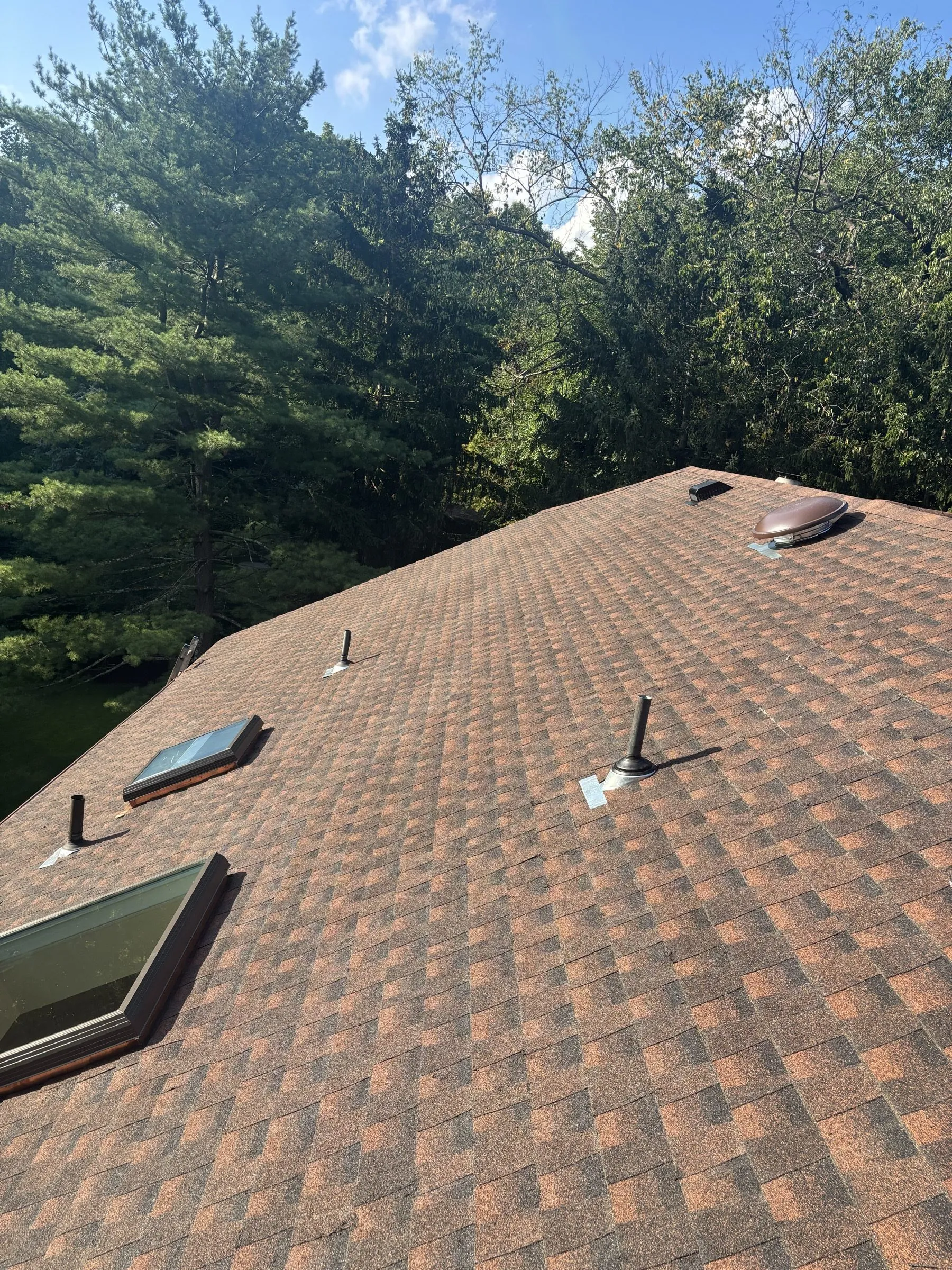 The finished roof sweeping across several planes, a skylight and vents set in.
