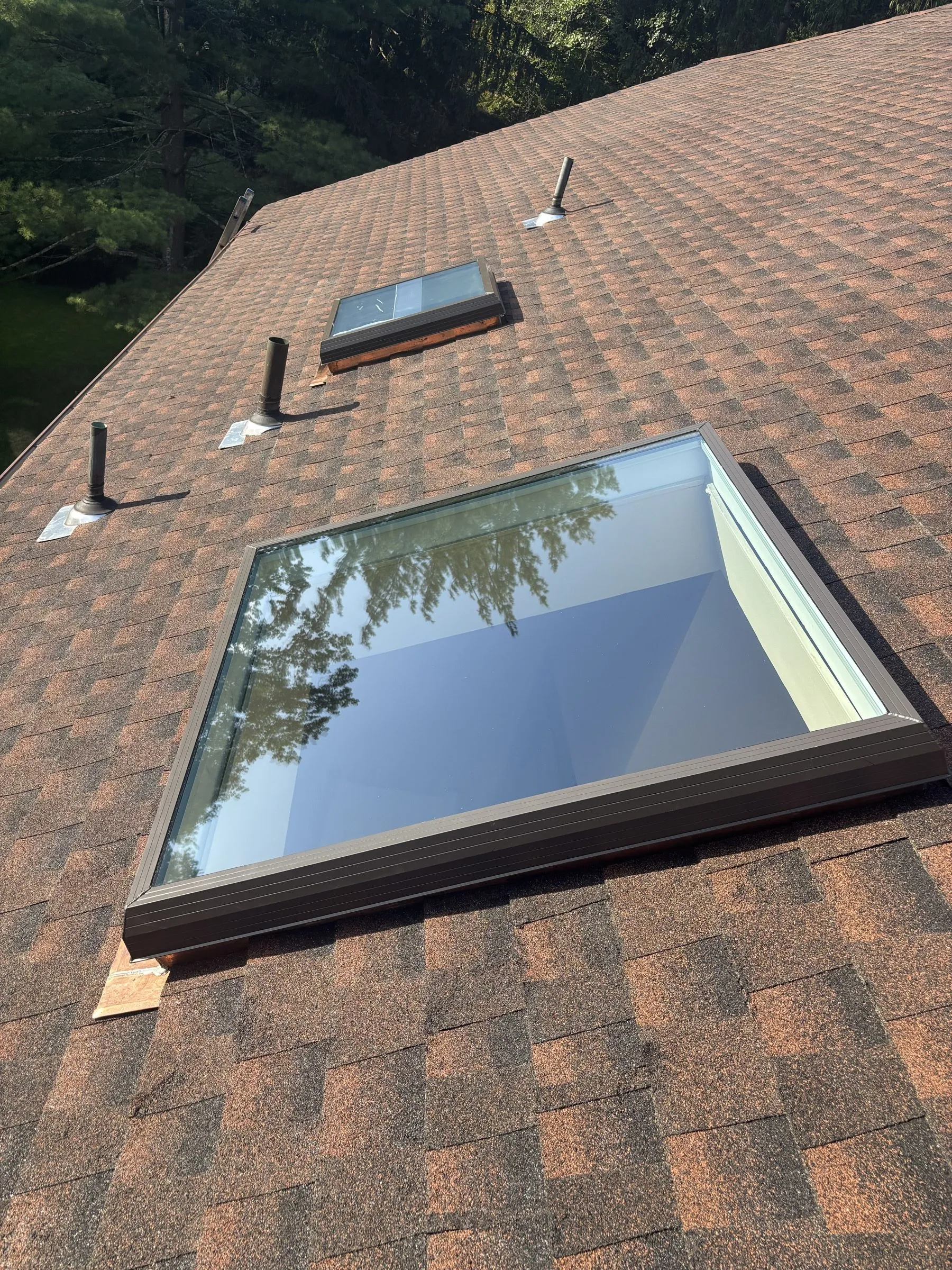 One of the two new skylights close up, its glass reflecting the surrounding trees.