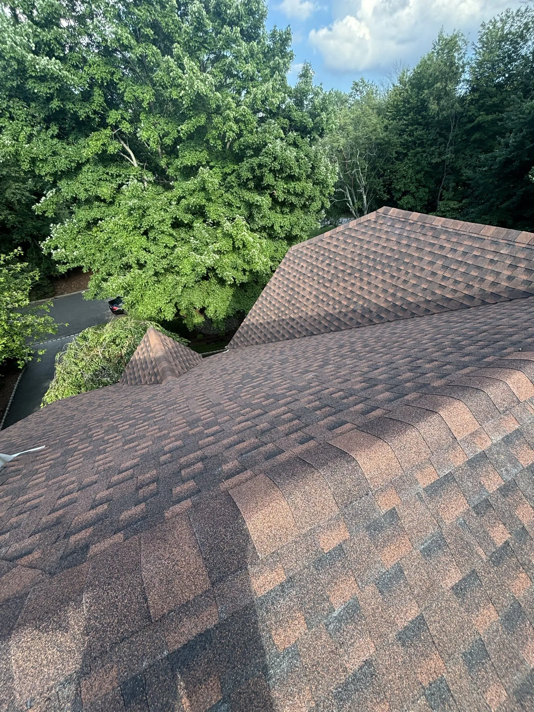 Finished shingles across the hips and ridges, mature trees crowding the house.