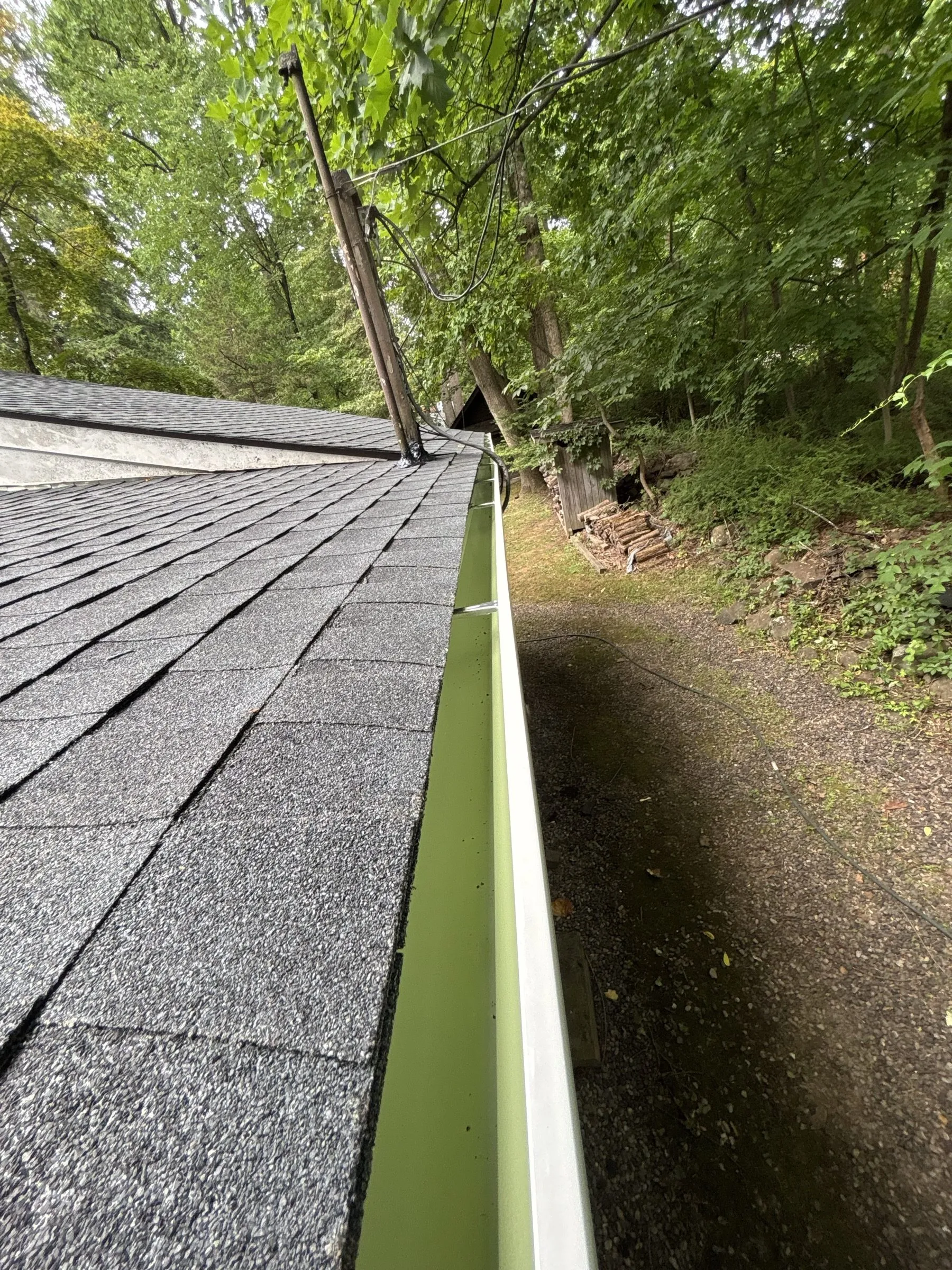 A long run of new gutter under the finished shingle edge, trees beyond.